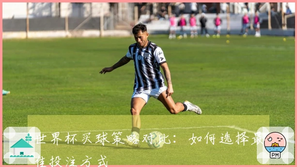 世界杯买球策略对比：如何选择最佳投注方式