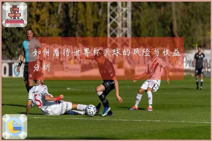 如何看待世界杯买球的风险与收益分析