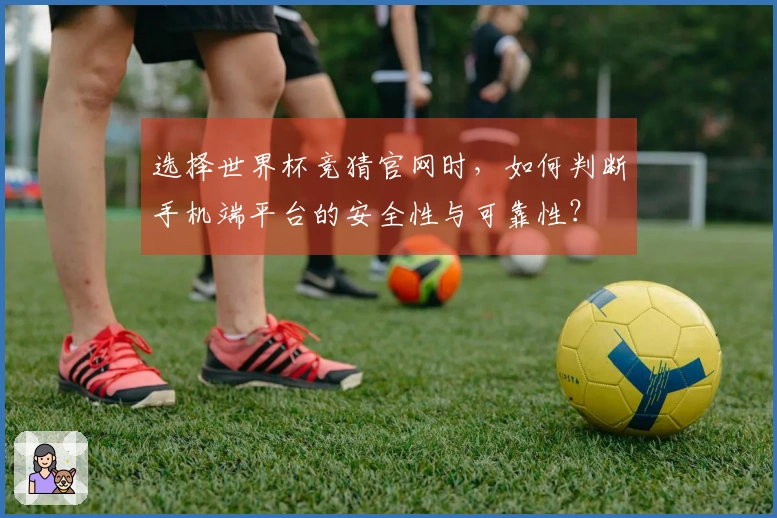 选择世界杯竞猜官网时，如何判断手机端平台的安全性与可靠性？