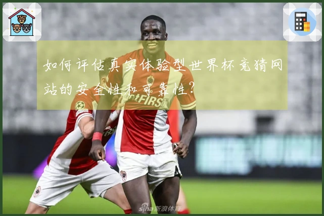 如何评估真实体验型世界杯竞猜网站的安全性和可靠性？