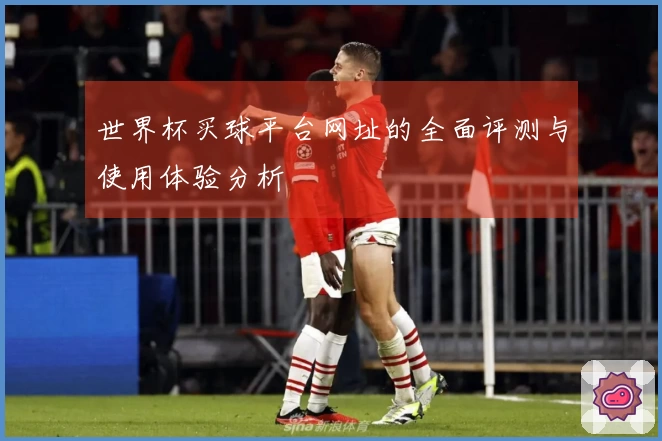 世界杯买球平台网址的全面评测与使用体验分析