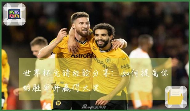 世界杯竞猜经验分享：如何提高你的胜率并赢得大奖