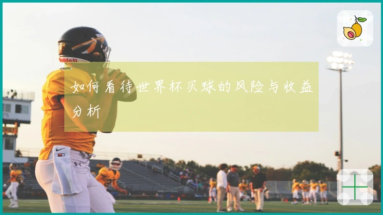 如何看待世界杯买球的风险与收益分析