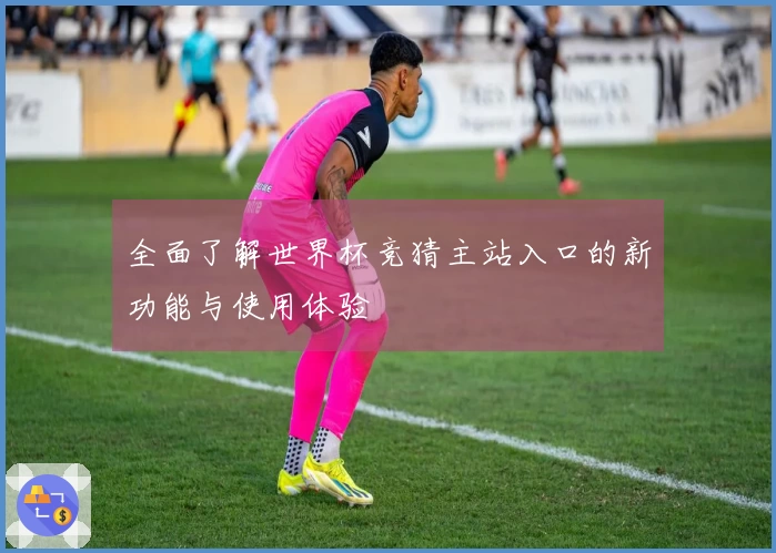 全面了解世界杯竞猜主站入口的新功能与使用体验