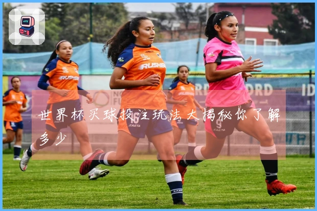 世界杯买球投注玩法大揭秘你了解多少