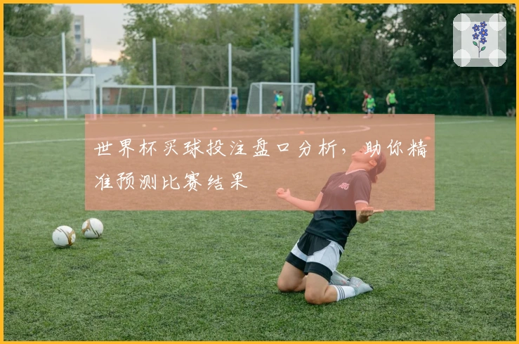 世界杯买球投注盘口分析，助你精准预测比赛结果