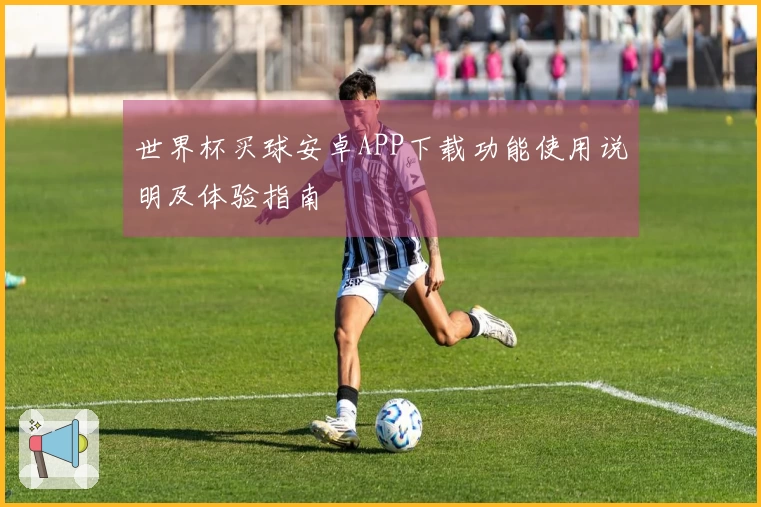 世界杯买球安卓APP下载功能使用说明及体验指南