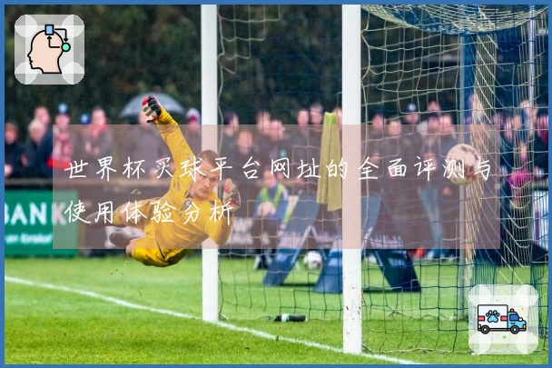 世界杯买球平台网址的全面评测与使用体验分析