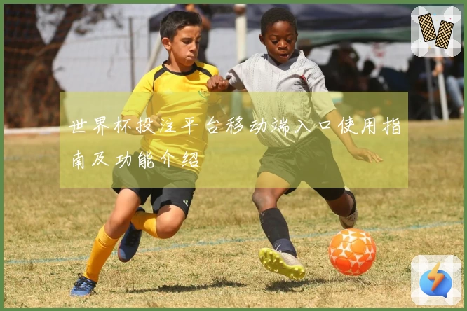 世界杯投注平台移动端入口使用指南及功能介绍